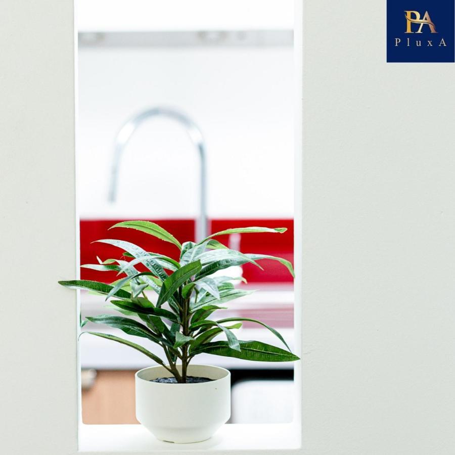 Pluxa Vivid Veranda Beautiful City Centre Apartment With Free Parking Birmingham Extérieur photo